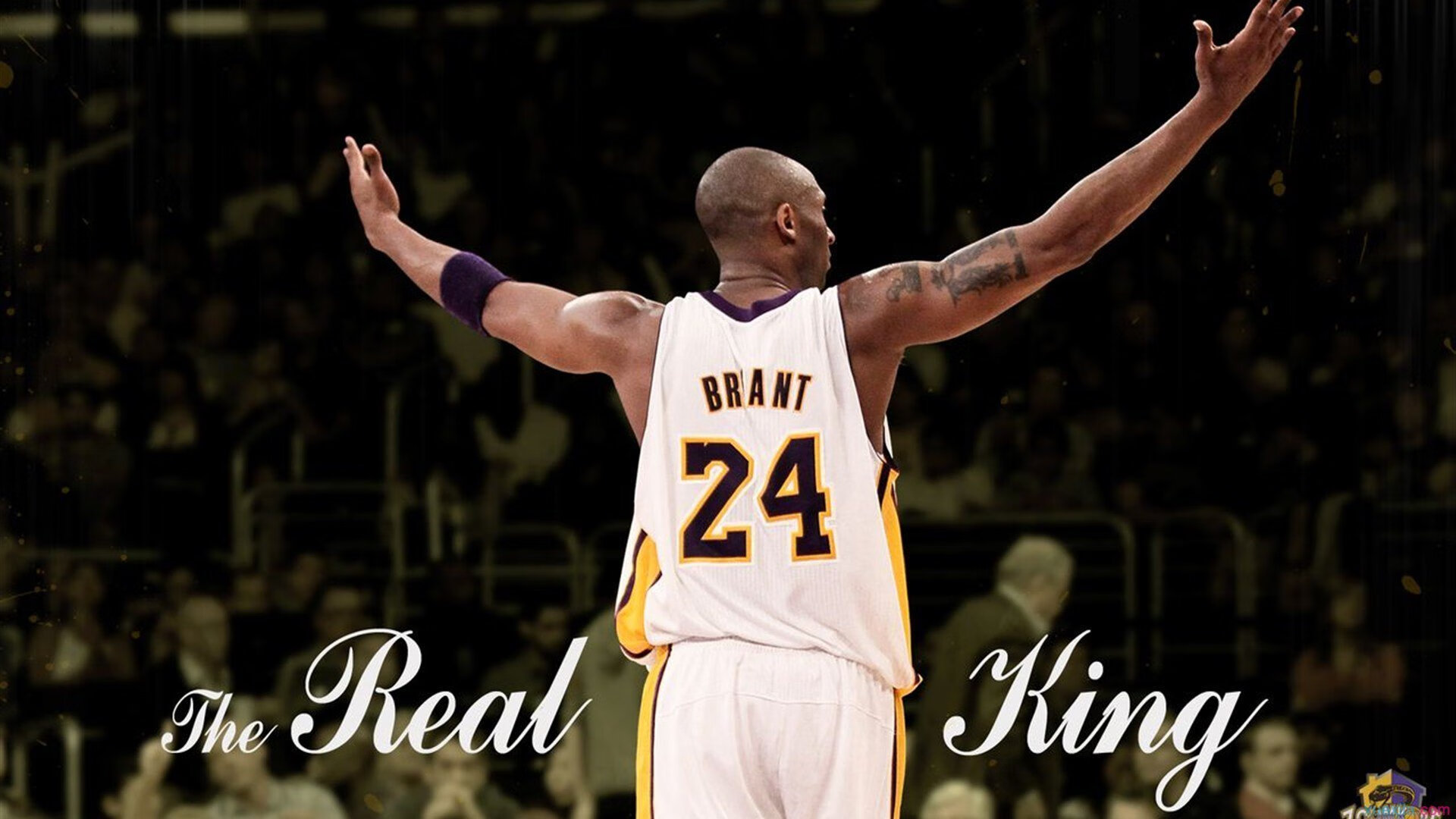 kaiyun 开云体育-体育纪录片热播，运动员幕后故事打动观众，体育纪录片有哪些